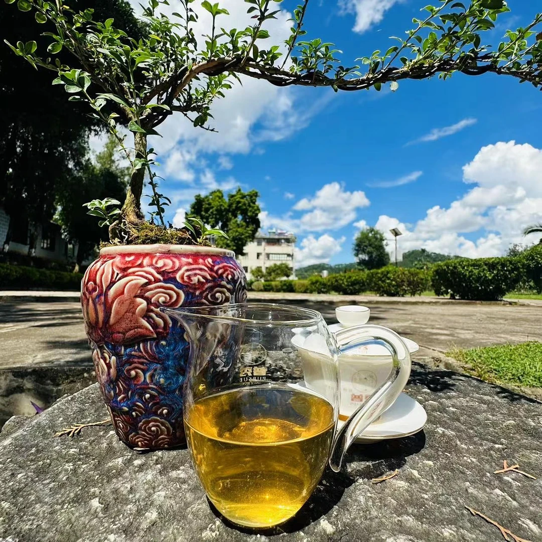 【宫廷云濮】大鹅家熟茶白棉纸包装