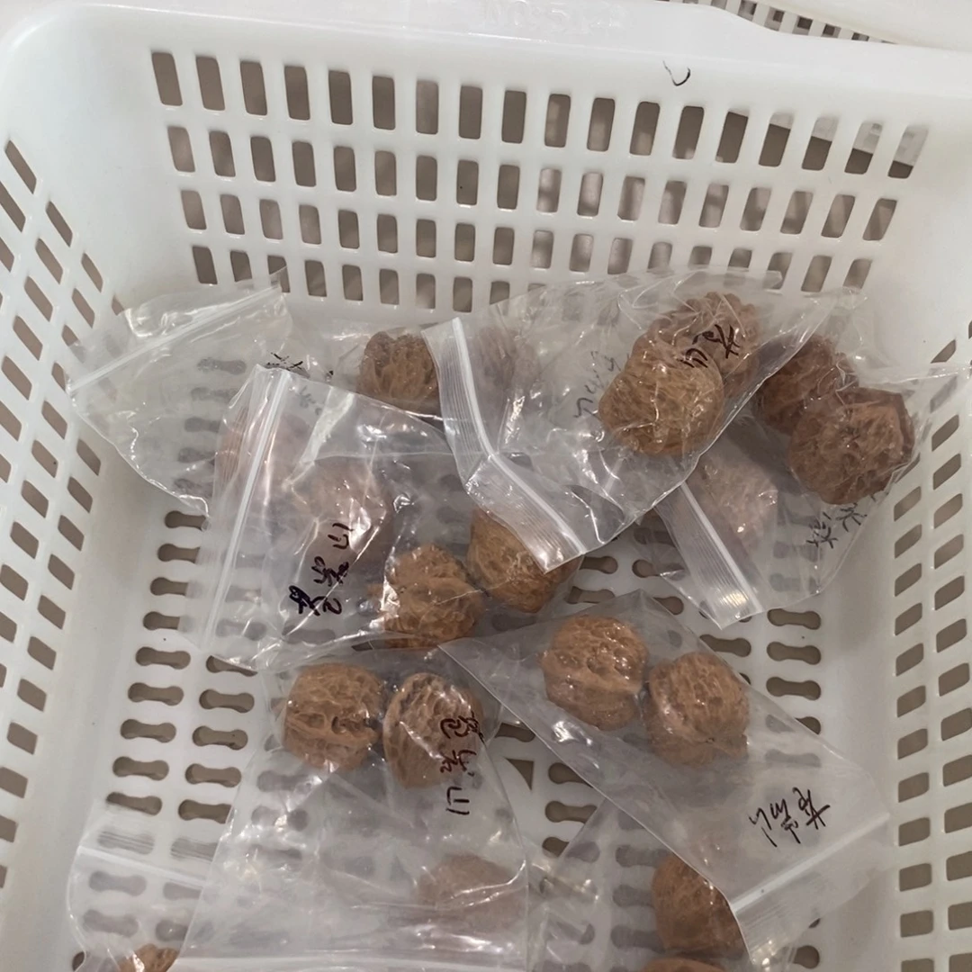 文玩核桃吊坠苍岩山