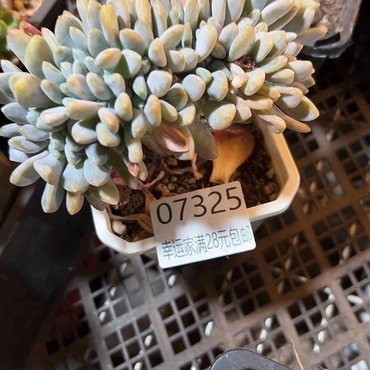 幸运的是我还没遇到过