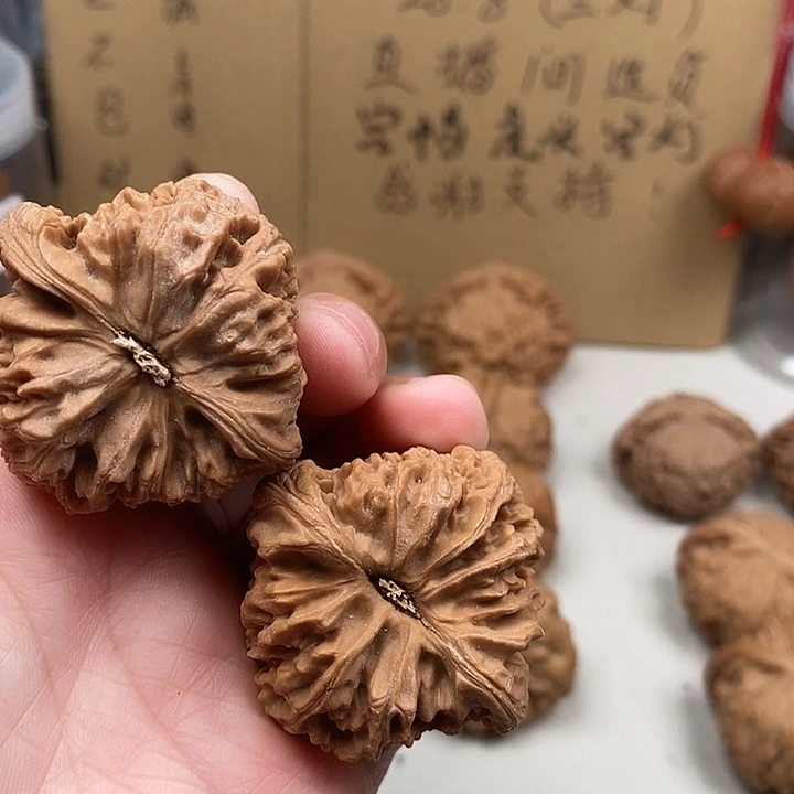 @***子木质类209.209.209