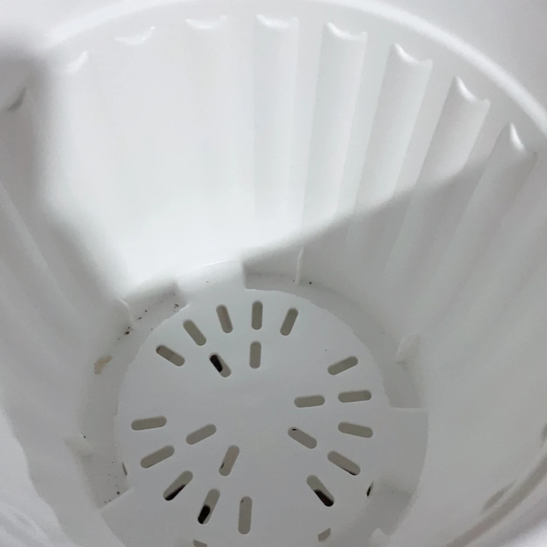 树脂5个28.5口白罗马无托