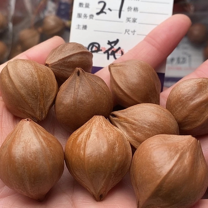 手串/手链橄榄核沧*