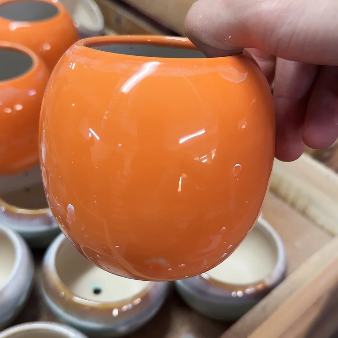 福利局绿植多肉盆［凑9元包邮24小时发］