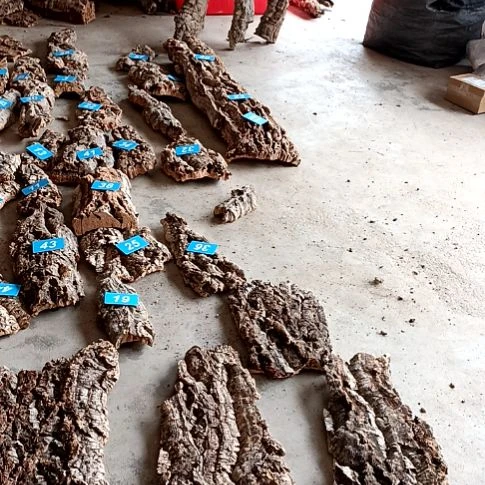 一物一拍一物一发