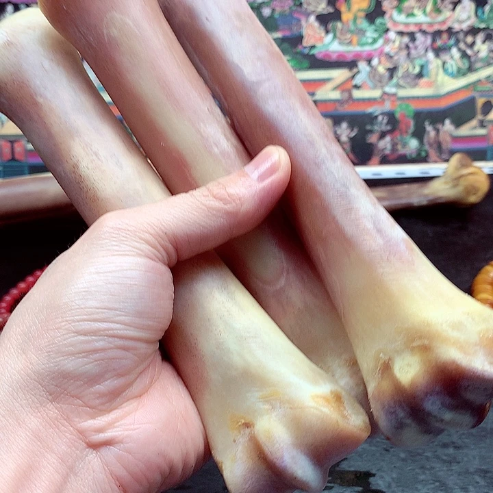 手串/手链驼骨手链项链