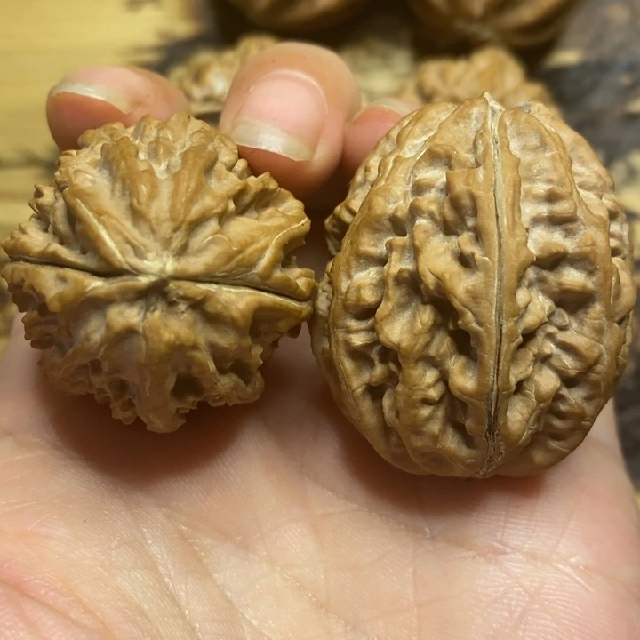 吊坠文玩核桃蚂蚁蛋