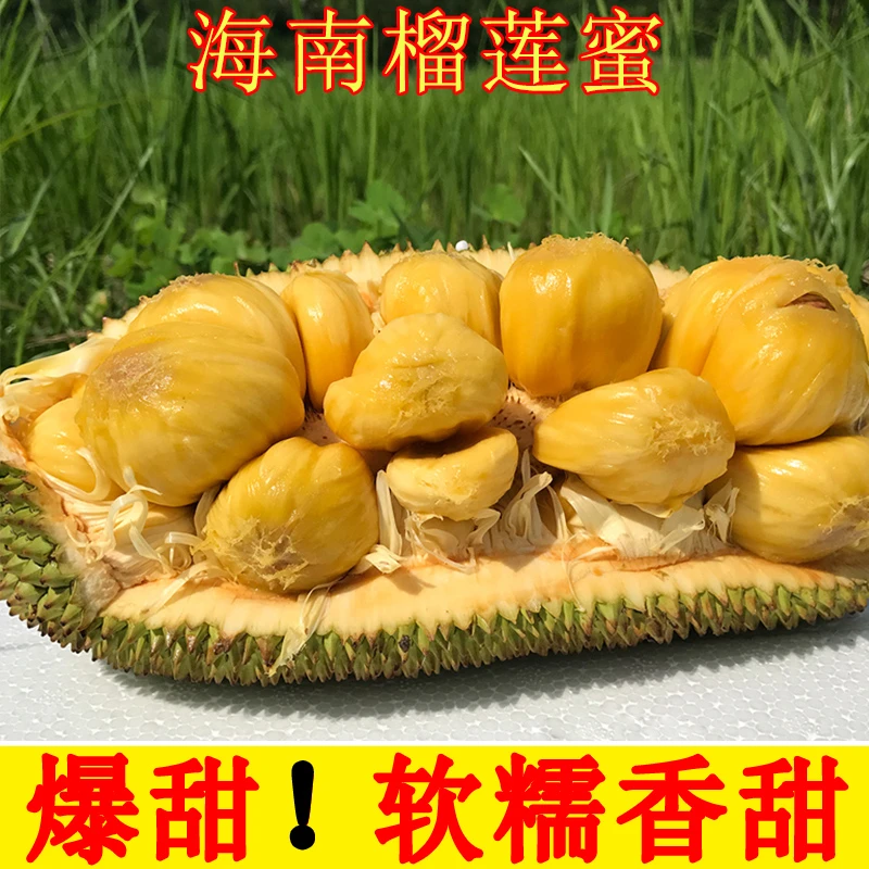 正宗海南榴莲蜜整箱包邮现摘三亚当季新鲜热带湿苞水果软糯香甜