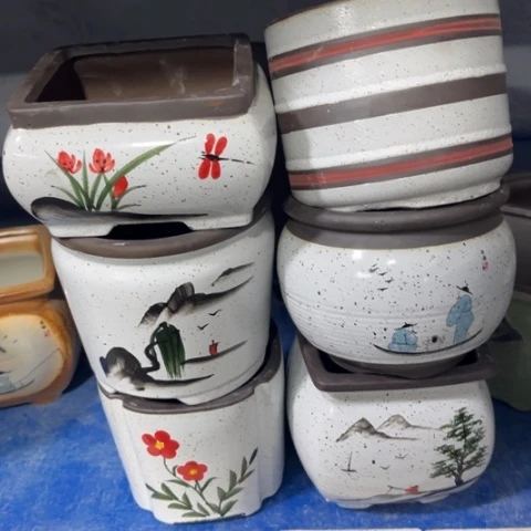 6［所有订单凑满15包邮］