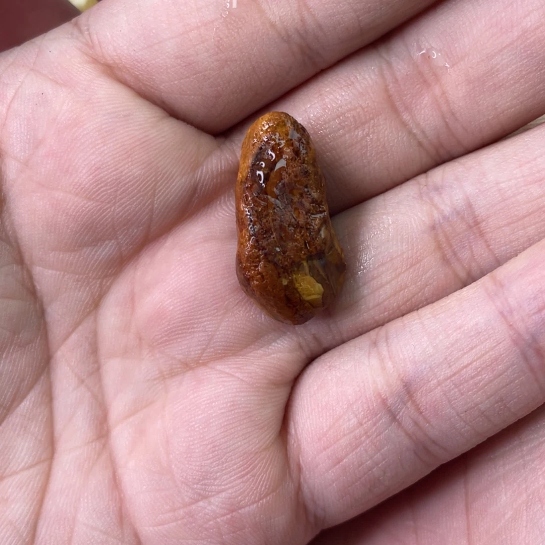 ***子定制琥珀天然琥珀