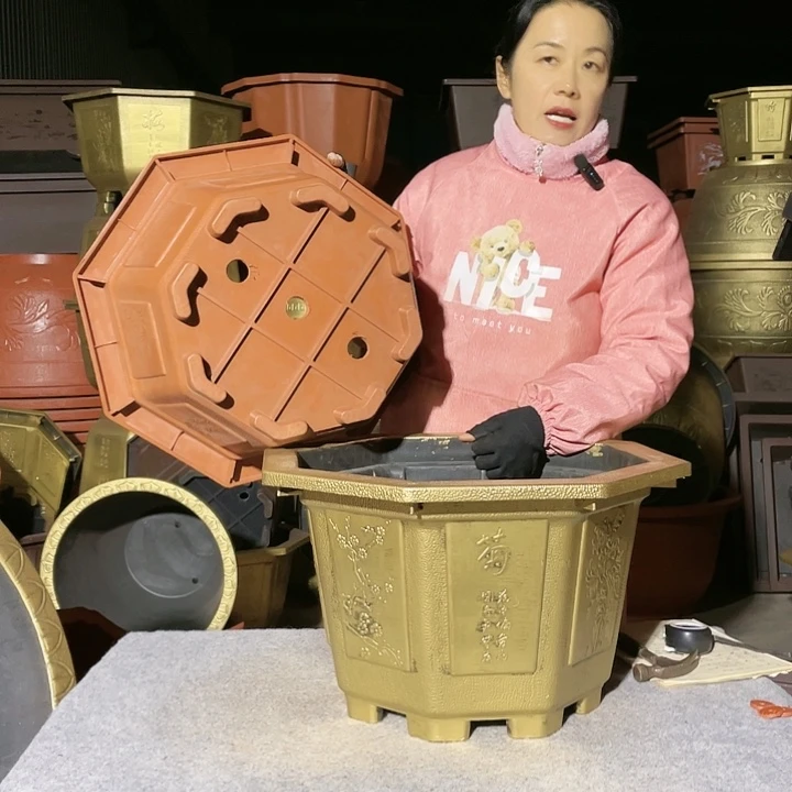 八角红色五零三个