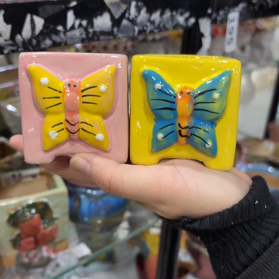 拍满20包邮飞，退款拉黑