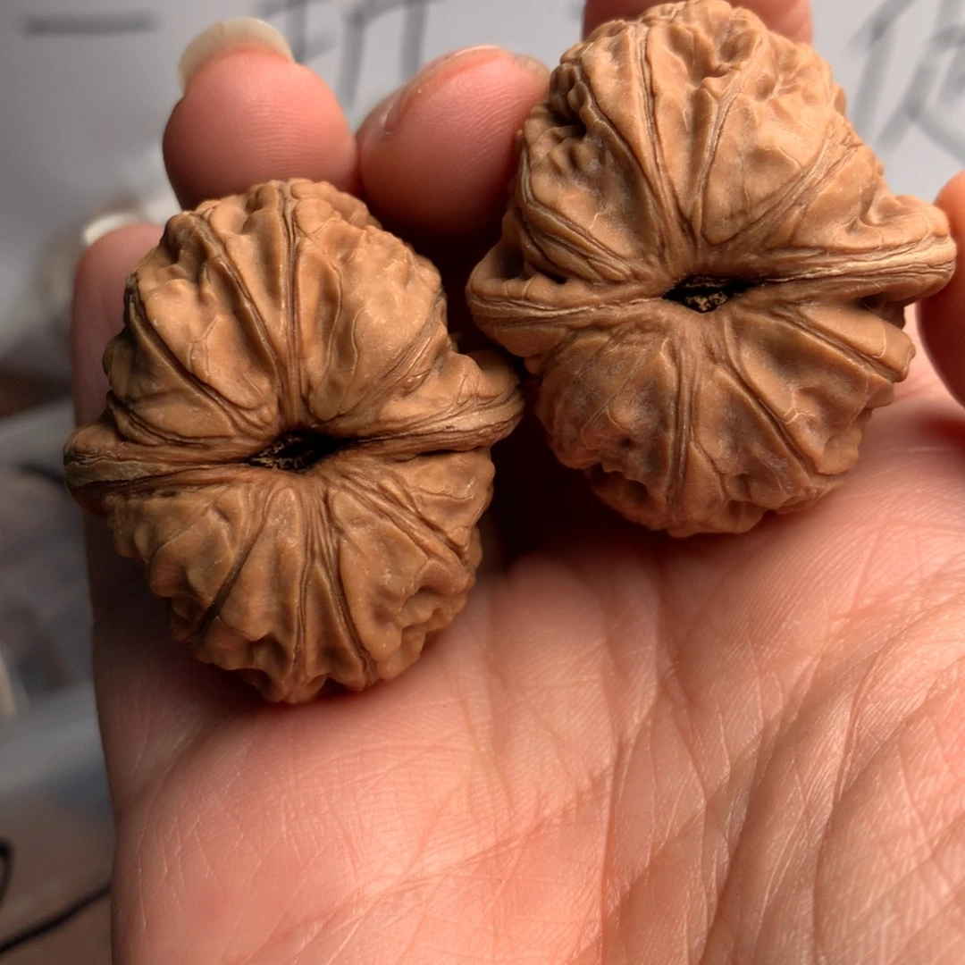 国***子元宝是4月下旬开始使用了