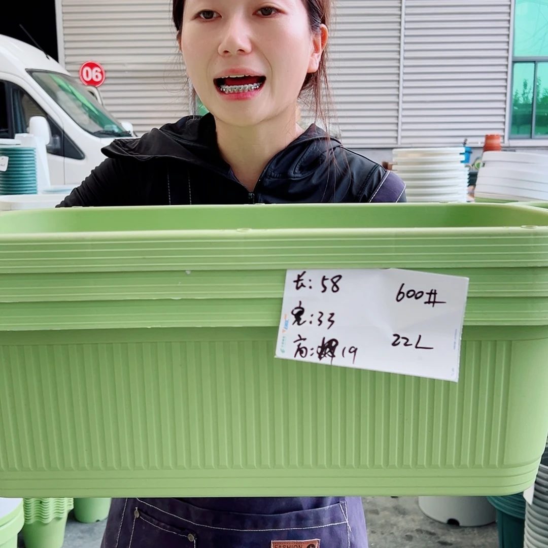 菜盆600#果绿3个无托