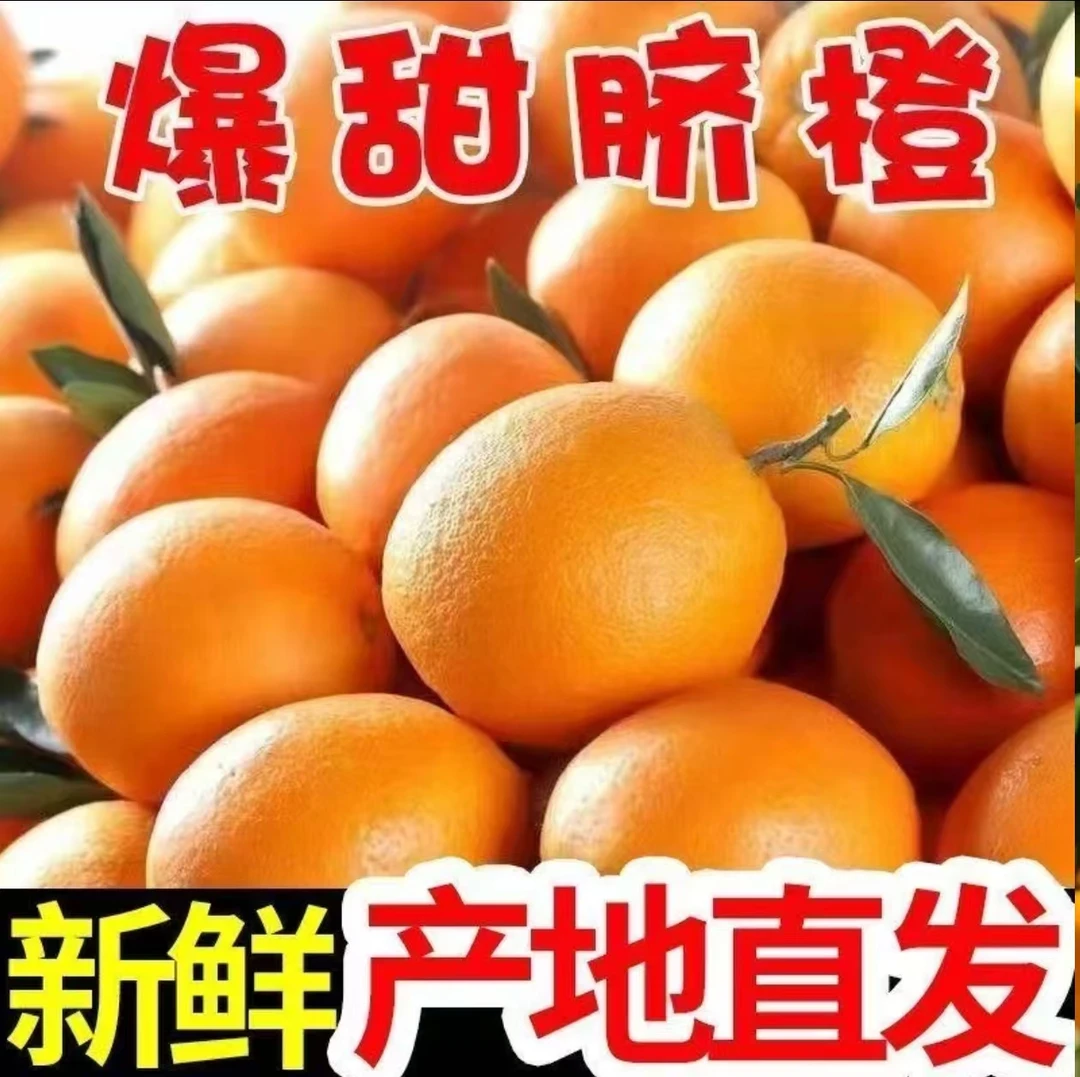 正宗脐橙新鲜现摘应季水果香甜多汁多仓直发