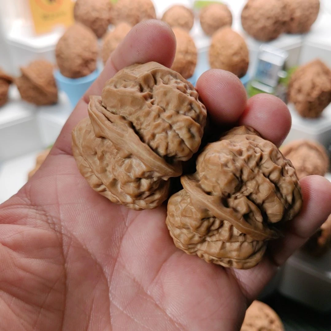 C***狼文玩核桃把件43肚四开背蛤蟆头