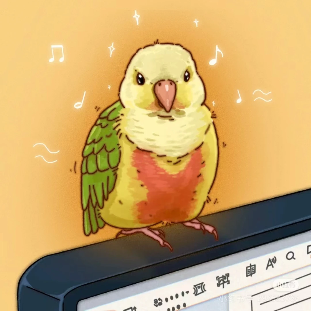 手养可爱亲人鹦鹉活体宠物鸟