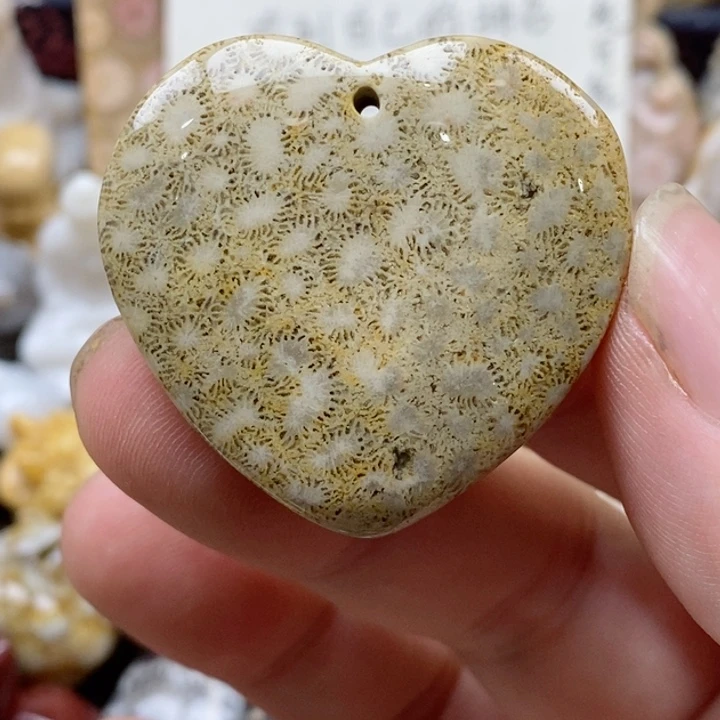 颈饰未镶嵌硅化珊瑚（珊瑚玉）