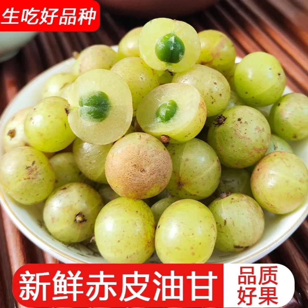 油甘潮汕金灶特产赤皮油甘果粗皮油甘余甘子小颗粒新鲜采摘油柑