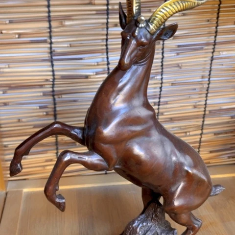 铜66666666666666666