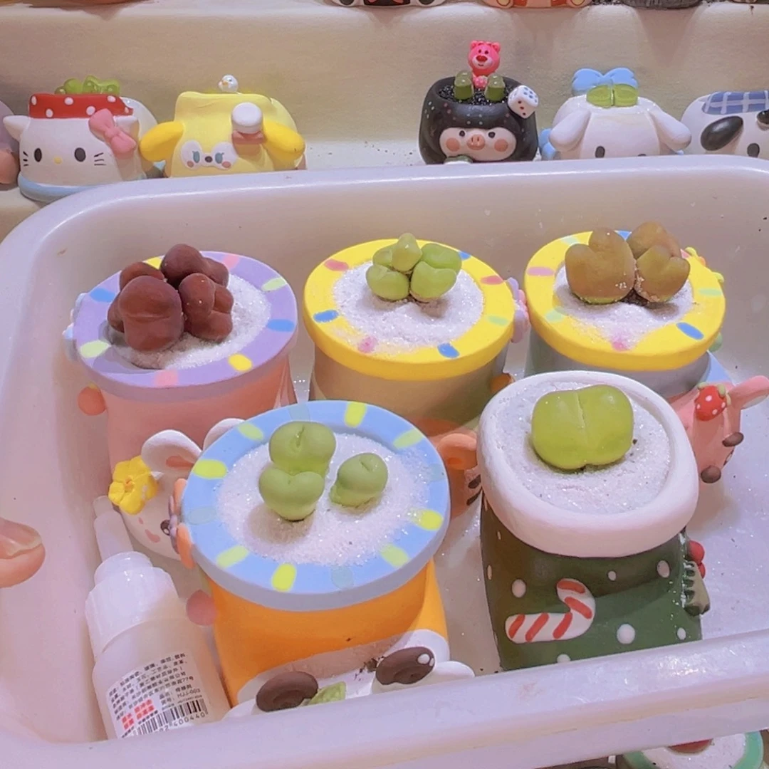 龚*每099肉锥组合手工盆