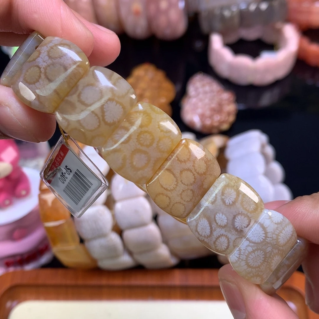 【闪购商品】颈饰未镶嵌硅化珊瑚（珊瑚玉）26号冰糖豹纹