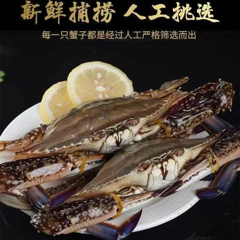 液氮锁鲜/东海野生梭子蟹【公母混装】/流网船蟹4两左右每只/7-9只装3斤【冻蟹】