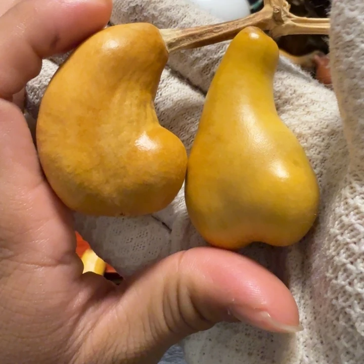 王***珍6…………………………………………