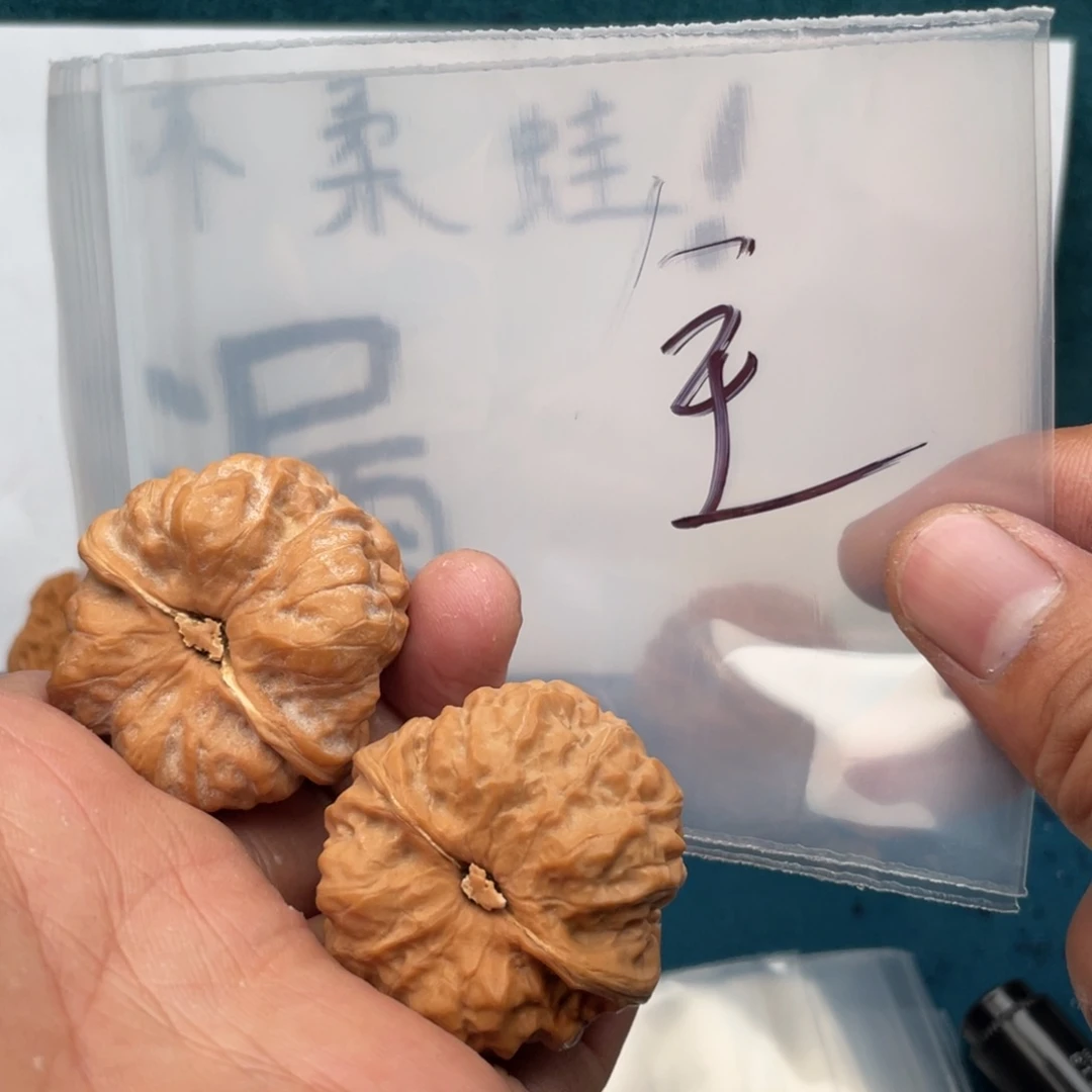 核桃手串/手链573723372375375