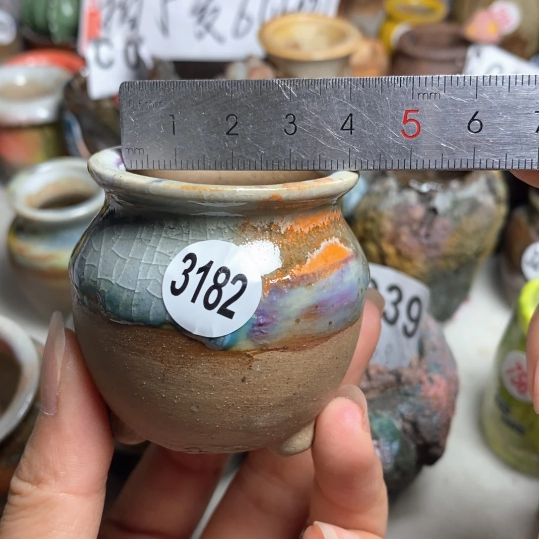 拍5送一个小礼物