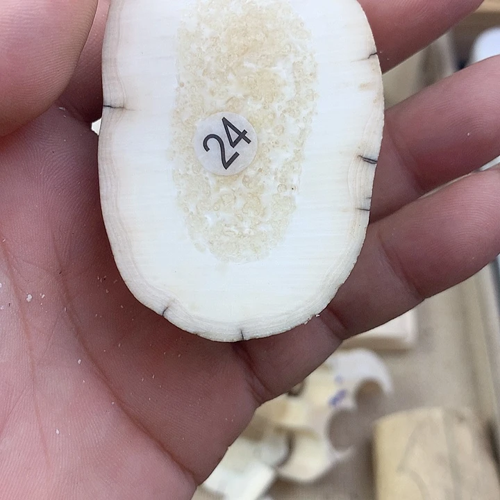 花岗石铁合金猛犸