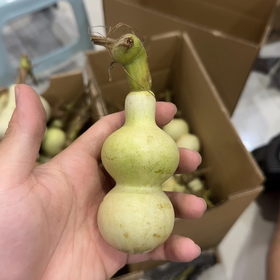 爱***脖葫芦dndndjdjdjdjdn