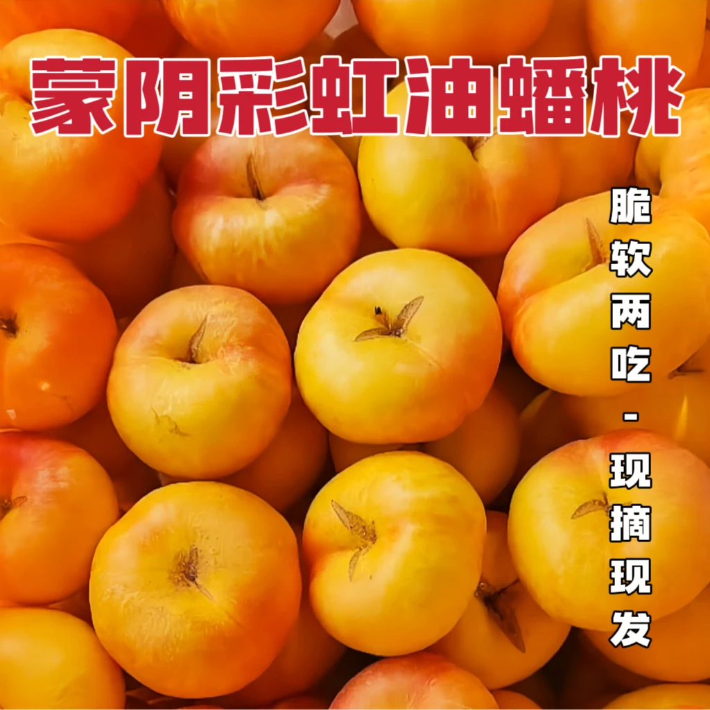 X【现摘现发】山东蒙阴彩虹油蟠桃软硬两吃更甜多汁新鲜水果