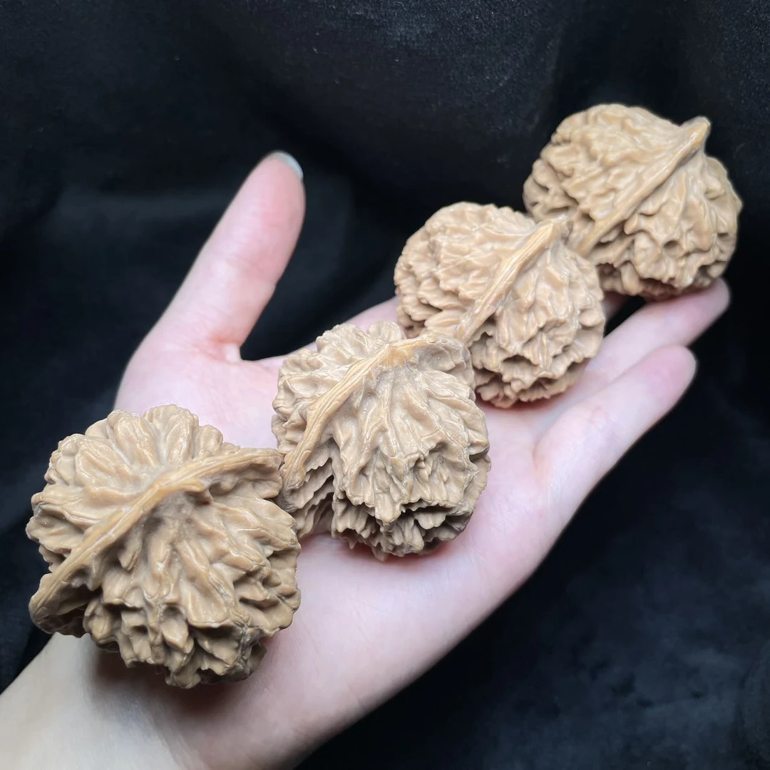 【曹掌柜精选】8 G46353-核桃龙纹狮子头-多样性发一件-45mm以上