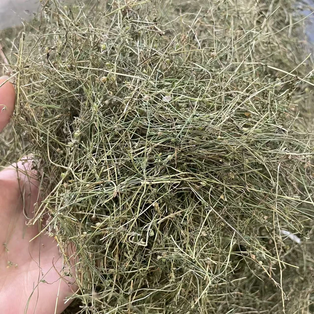 [四叶莲碎]碎一点没事，煲汤煮水都可以