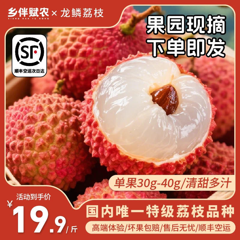 【顺丰空运】普宁新鲜现摘龙鳞荔枝5斤单果30-40g大果当天直发