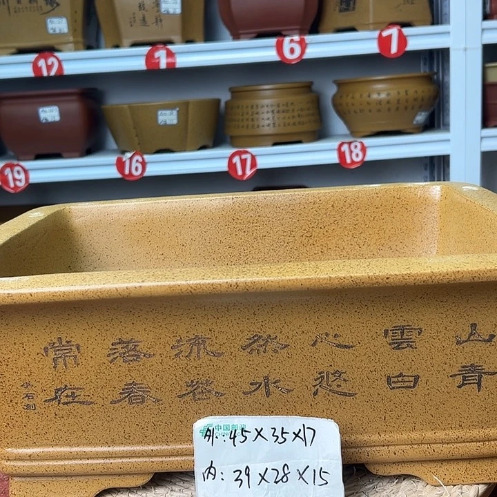 紫砂花盆蛇年大吉