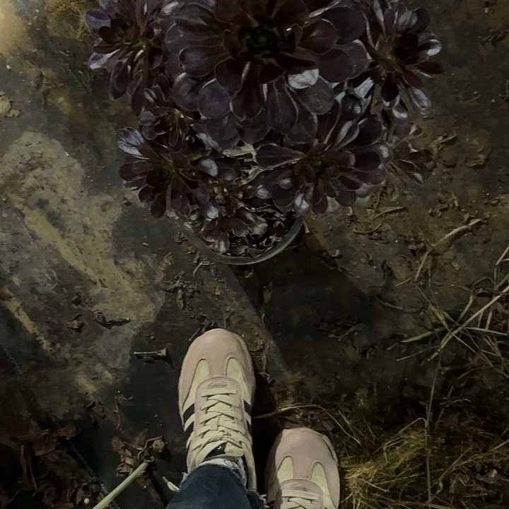 法师链接不售后120