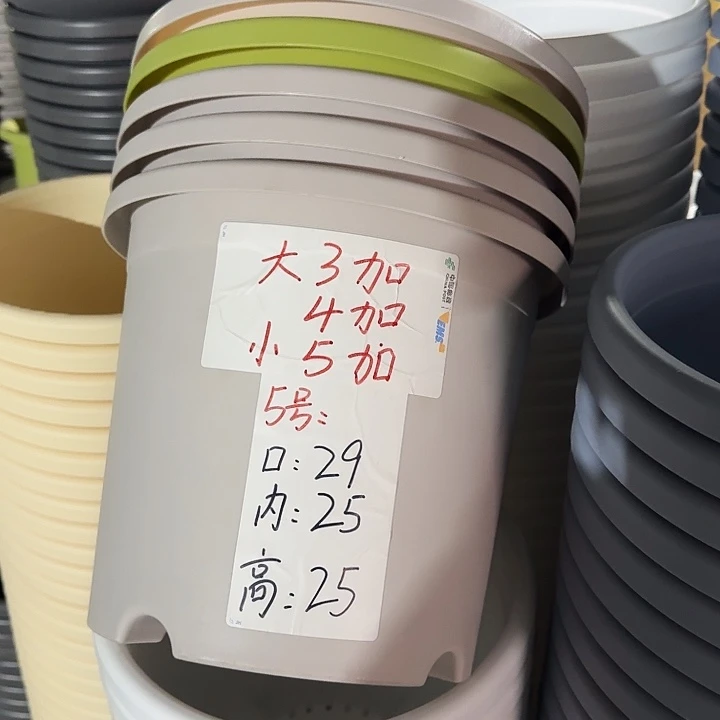 四季5#口径29灰白5个无托