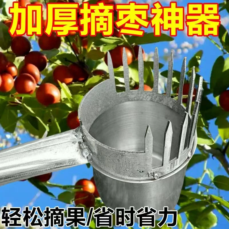 加厚新款酸枣不易锈摘果器采果山枣柏树神器小枣工具扎手大号