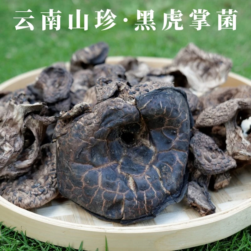 云南山珍  野生黑虎掌菌  农家采摘自然晾晒干货