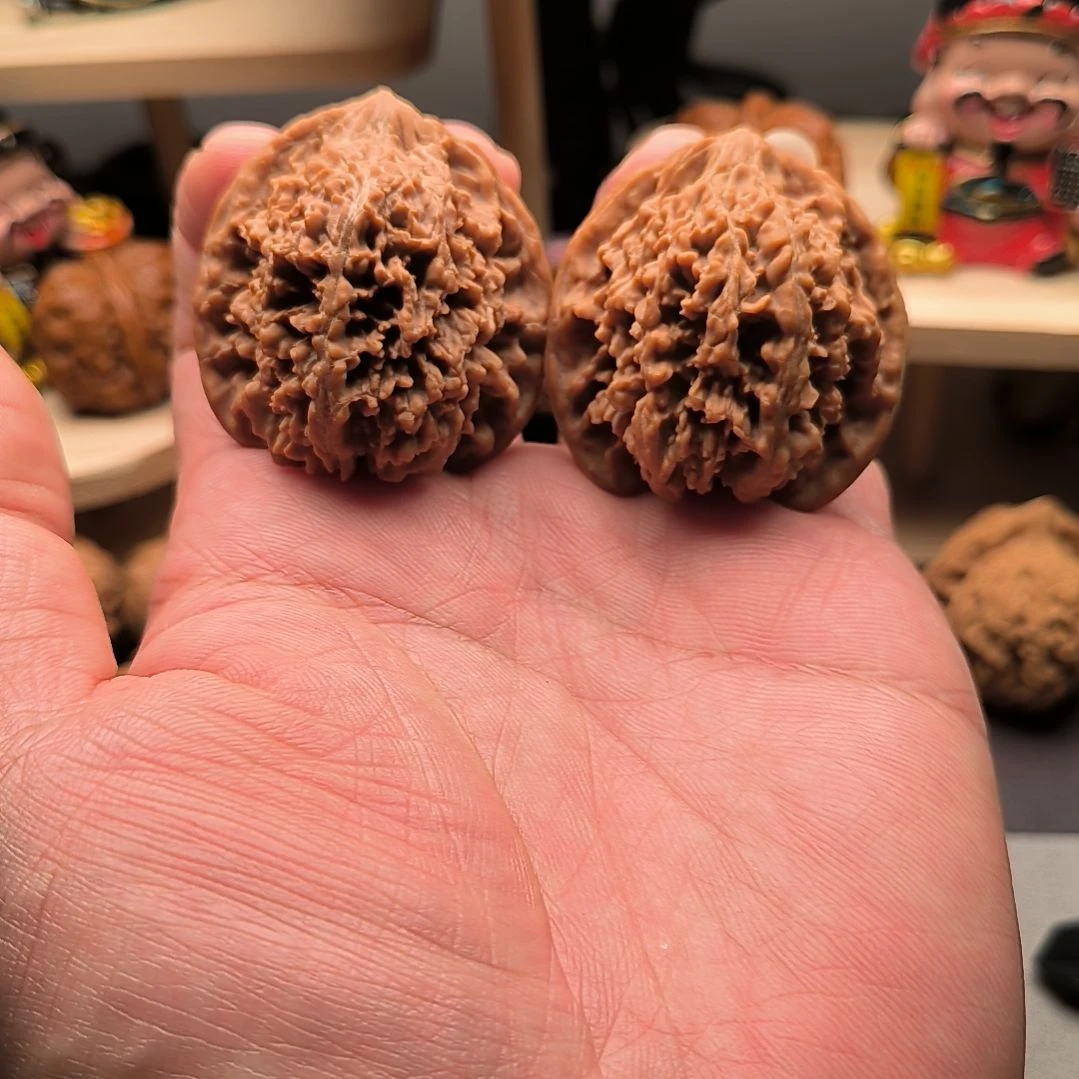 全品原装满天星41尺