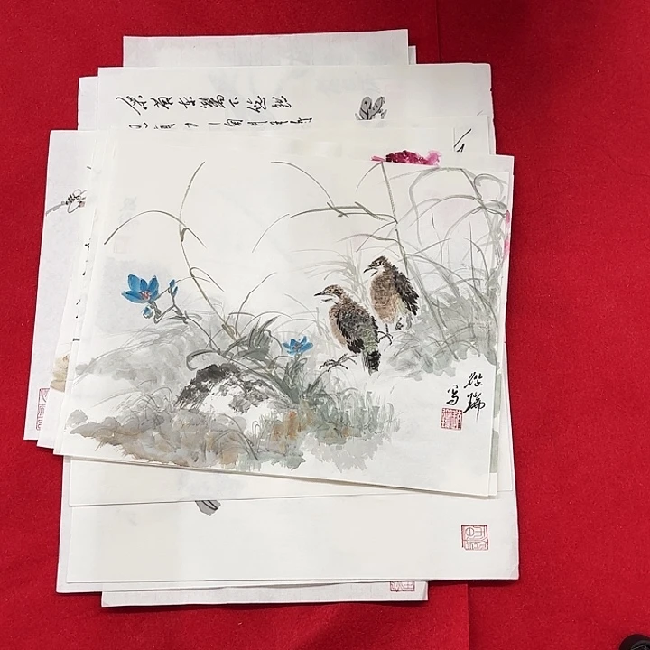 国画花鸟等多种鸟类和鸟类