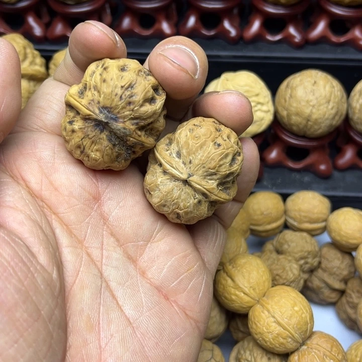 核桃云南铁核桃趣多多17