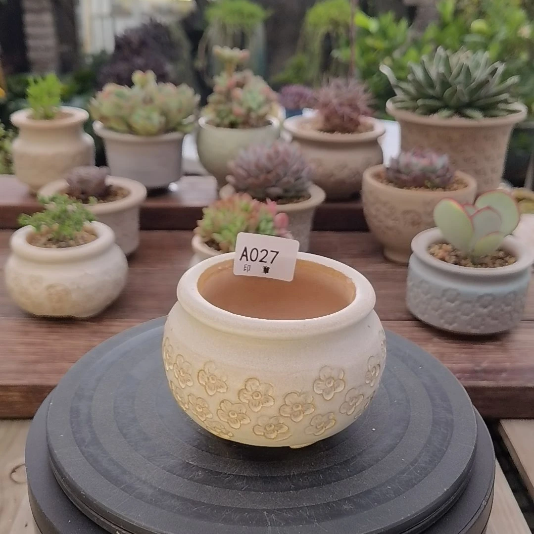 印章多肉花盆A027