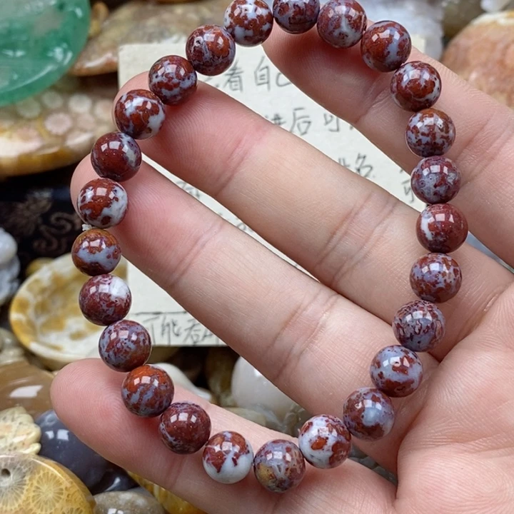 硅化珊瑚（珊瑚玉）未镶嵌颈饰