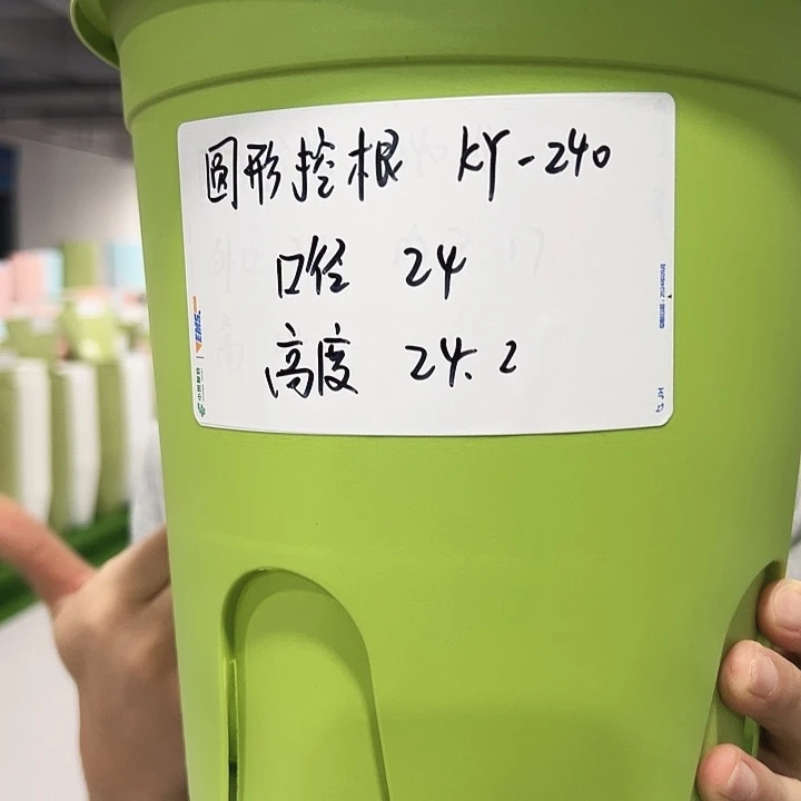 正品圆控口24高24白色8只带托