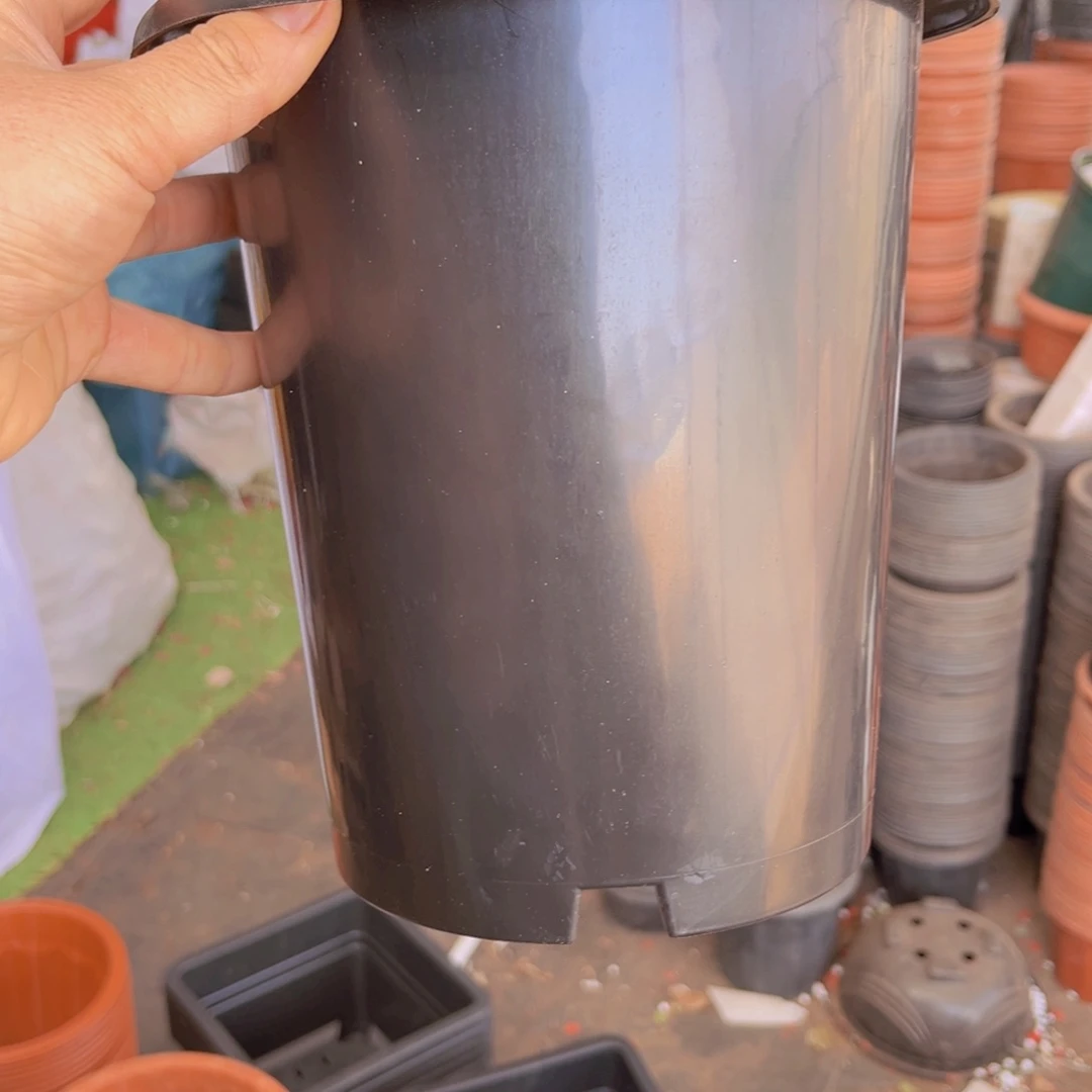 塑料20公分黑兰花盆 10个