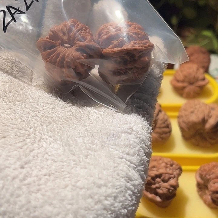 Z***扎手串/手链核桃文玩核桃密纹36