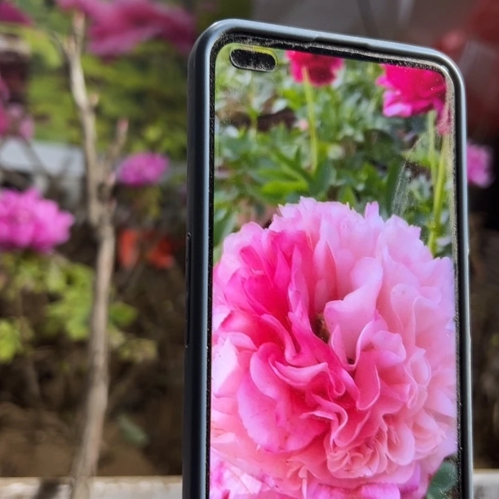 小***儿完全开放御前表演111111