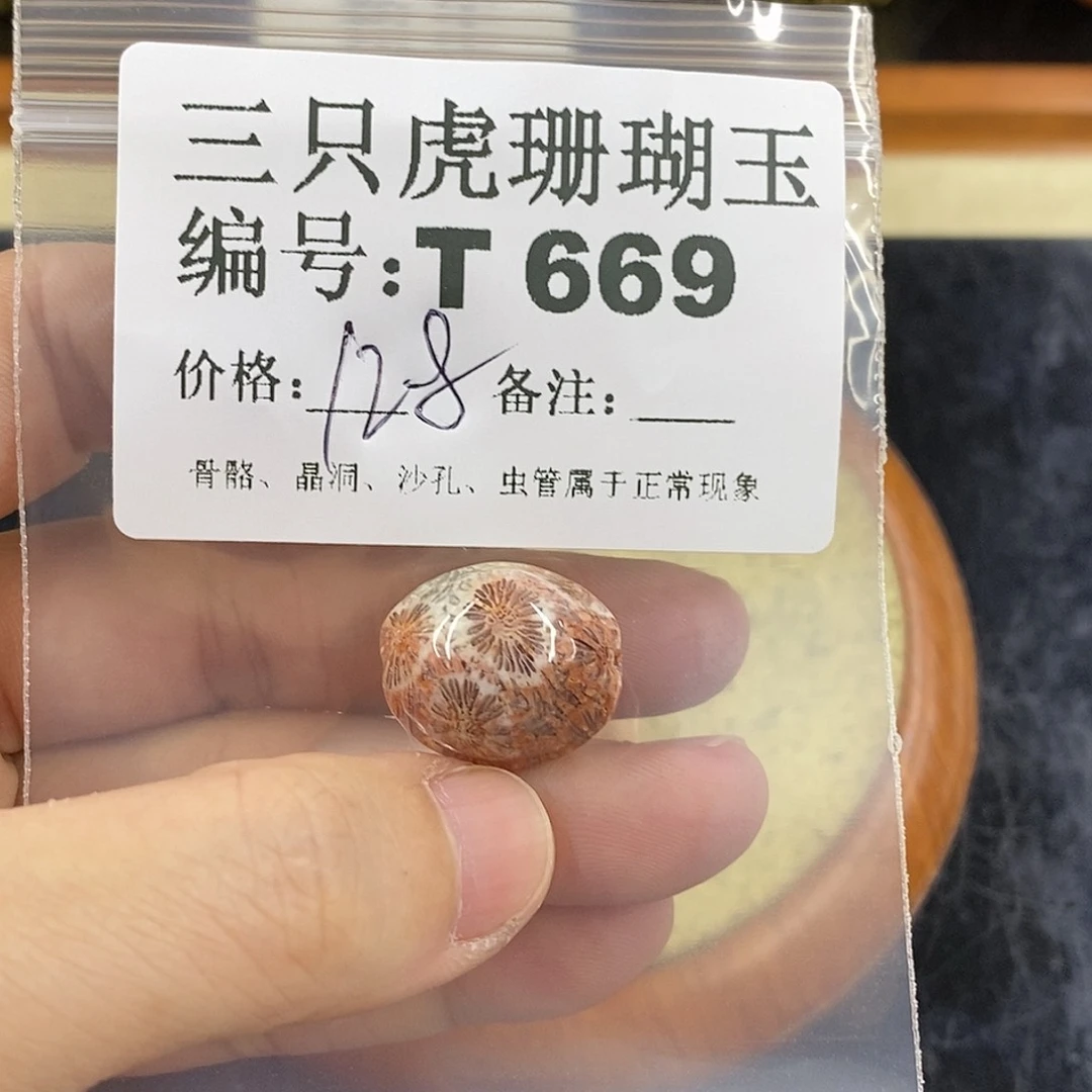 硅化珊瑚（珊瑚玉）1未镶嵌用****4